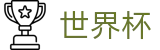 2026FIFA世界杯(FIFA WorldCUP)世界杯赛事专区